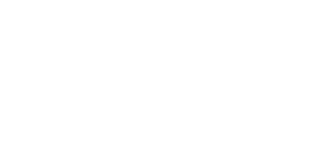 Logo_Combine_Blanc_CMJN_500 px Logo Noctys