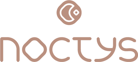 Logo_Combine_Couleur_Noctys_200 px Logo_Combine_Couleur_Noctys_200 px