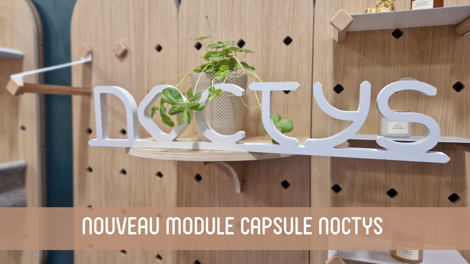 Nouveau module pegboard capsule Noctys